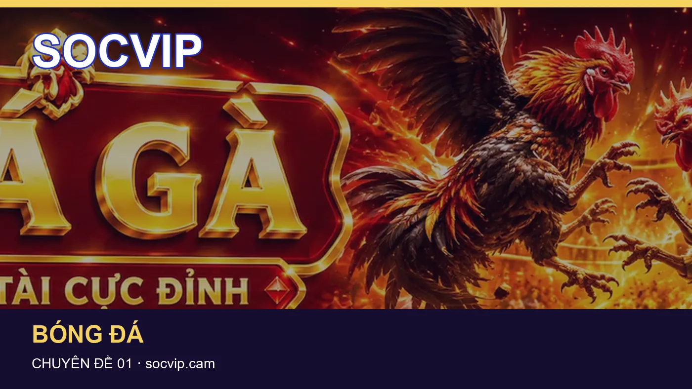 Trải nghiệm Bóng đá trên điện thoại cùng cẩm nang SOCVIP
