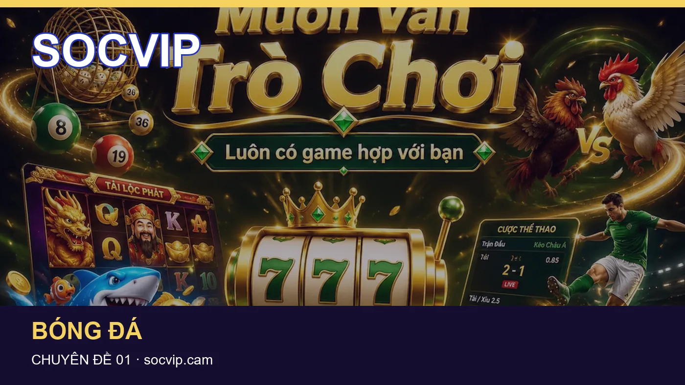 Danh sách kiểm tra thông tin Casino dành cho người đọc SOCVIP