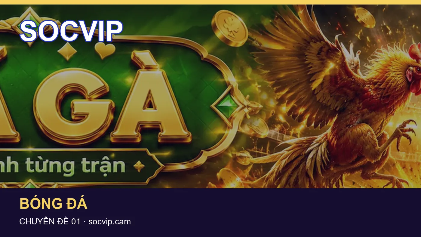 Hình minh họa bài viết SOCVIP